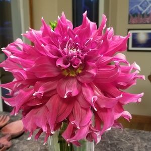 Meet your Posher, Christine